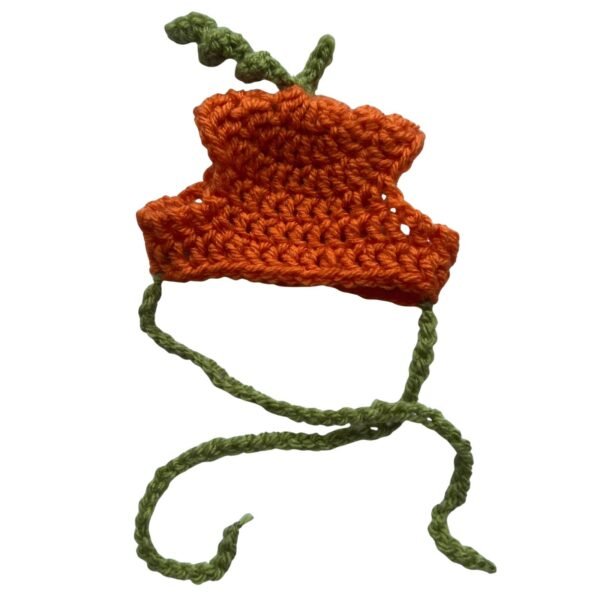 Crochet Pumpkin Pet Hat with Adjustable Straps and Stem Detail