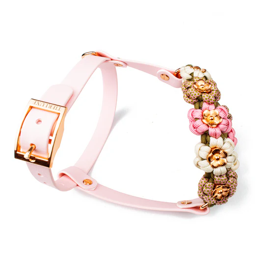 Braided Floral Small Dog Harness with Pink Adjustable Straps and Gold Tone Hardware Image 4