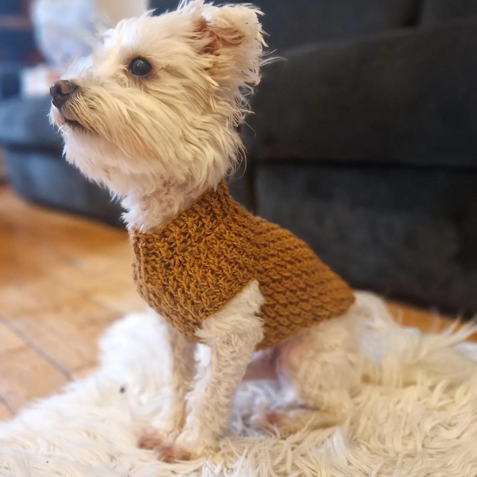 Brown Textured Crochet Dog Sweater Pullover for Small Pets Image 4